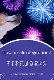 Fireworks can be frightening to dogs because of the loud bangs, the flashing lights and unpleasant it can never be stressed enough how important it is to make sure your details are kept up to date. How To Calm Dogs During Fireworks K9sovercoffee