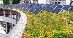 Neuer Fbb Prospekt Uber Dachbegrunung Photovoltaik Und Brauchwassernutzung Dachbegrunung Dach Sonnenkollektor