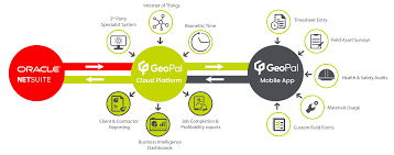 In turn, this allows businesses to continue focusing on what they do best and to react to new market opportunities swiftly and confidently. Geopal And Oracle Netsuite Geopal Solutions