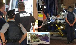 Detective superintendent nicky arrowsmith said: Wife Allegedly Attacks Husband With A Pickaxe In Sydney Before Turning It On Herself Daily Mail Online