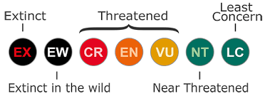 Iucn Classification Critically Endangered Endangered And Vulnerable