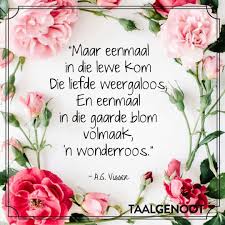 Van die hoogste krans by woeperdal. Pin By Melissa De Klerk On Woorde Words Afrikaans Words Quotes