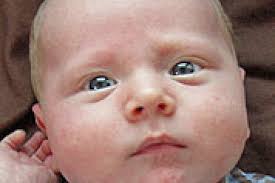 Noah Daniel Jacobson new arrival