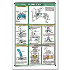 Algra Fitnus Chart Bench Press Instruction Card Bench