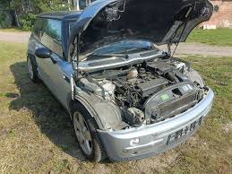 Image result for Pure Silver 2001 Mini