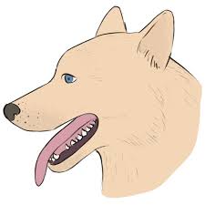 This dog may look intimidating because of all the fur, but with the right placement, you will have no trouble. How To Draw A Dog Face Easy Drawing Art