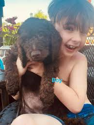 Seeing if there is any...