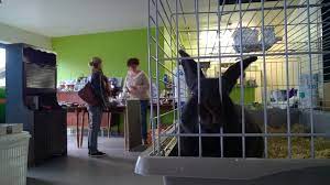 Ondersteunende activiteiten in verband met de veeteelt. Dierenbescherming Mechelen Morgen Terug Open Page 4008 Rtv