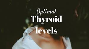 optimal and normal thyroid levels mamma health