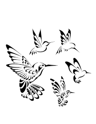 Hummingbird Drawing Bird Drawings Hummingbird Tattoo
