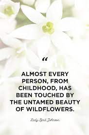 Lift Your Mood with These Inspiring Quotes about Flowers