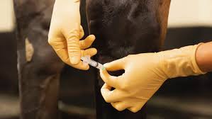 Image result for Joint Injection