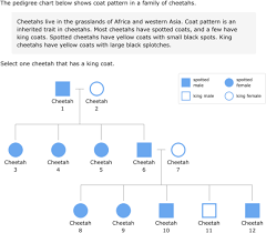 Ixl Read An Animal Pedigree Chart 3rd Grade Science