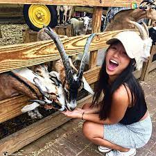 Maybe you would like to learn more about one of these? Animal Farm White Post Animal Farm Of Melville
