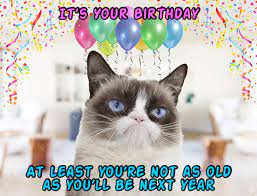 This youtube is sponsered by: Grumpy Cat Says Happy Birthday At Least You Re Not As Old As You Will Be Next Year Geburtstag Geburt