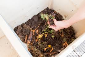 Kompostieren Ohne Garten So Baust Du Eine Wurmkiste Wurmkiste Kompostieren Wurmkompost