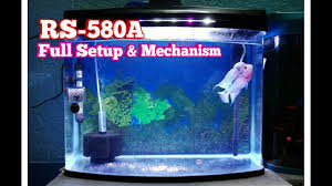 New Rs Electrical Rs 580a Aquarium Setup With A Super Red Dragon Flowerhorn Fish Youtube