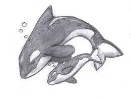 Orcas By Smallfry123 On Deviantart