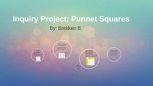 What Is A Punnet Square By Brekken Billman