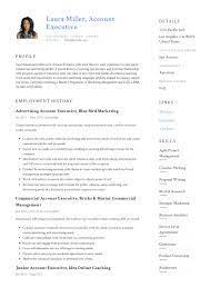 Here's an example of what a strong introduction . Account Executive Resume Writing Guide 12 Templates Pdf 20