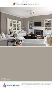 Intellectual grey 7045 undertones : Paint Color Matching App Colorsnap Paint Color App Sherwin Williams Paint Colors For Home Matching Paint Colors Room Paint Colors