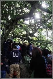 遊記 生態 森林 台東縣延平鄉 鸞山森林博物館 幸福是一種態度 不只是結果 痞客邦 kanken backpack fjallraven kanken backpack fjallraven kanken