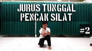 Buku senam dan jurus sh terate senam dasar psht 1 30 kode psht animasi bergerak jurus psht jurus psht lengkap warga psht yang jadi artis jurus psht 1 36 download buku senam dan jurus sh terate. Jurus Tunggal Gambar Jurus Psht 1 36