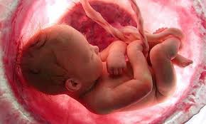 Destek ve hareket sistemi her geçen gün kuvvetlenen yavrunuzun hareketlerini geçen. Hafta Hafta Gebelik Takibi Ve Onemli Hatirlatmalar Bebek Tv