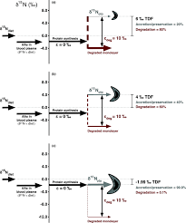 We did not find results for: Comparison Of The Isotopic Composition Of Fish Otolith Bound Organic N With Host Tissue