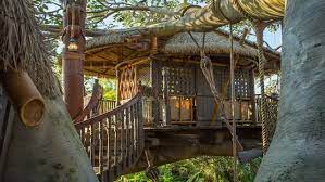 Magic Kingdom Swiss Family Treehouse Swiss Family Robinson Treehouse Tree House Cool Tree Houses