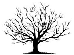Full Canopy Tree Drawing Bare Tree Tree Art Begin to draw a regular tree limb, towards the. full canopy tree drawing bare tree
