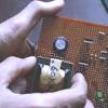 Main coil terminals voltage is 220 alternative voltage. Https Encrypted Tbn0 Gstatic Com Images Q Tbn And9gct6rfbbglwsvzm11e8khtyzkg Uyt5r0urv21lncp5aysnwa1 D Usqp Cau