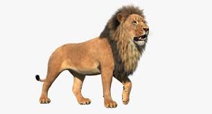3d Lion Rigged 3d Lion Model 3d African Lion Model A Realistic Model Of An African Lion Lion 3dlion 3dlionmodel 3dafricanlion Lion African Lion African