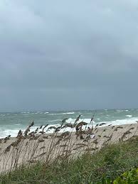 Edina Terry (@edinaterry) • Instagram photos and videos