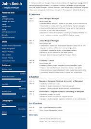 20 Professional Resume Templates For Any Job Download