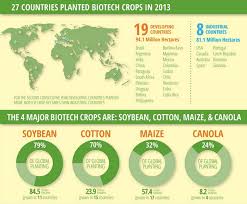 How Gmo Crops Conquered The United States Vox