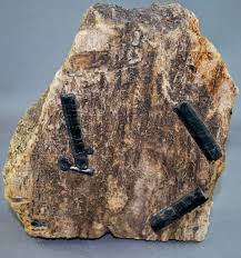 Maybe you would like to learn more about one of these? Extremely Rare Superb Petrified Wood With Black Tourmaline Etsy Petrified Wood Crystals And Gemstones Gems And Minerals