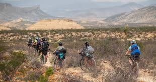 Terroir (film) and The Desplabado Tour