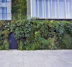 Vertikale Garten Von Michael Hellgren Gartendesign Ideen Vertikaler Garten Vertikale Gartenmauer