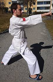 Forms  american tang soo do includes the practice of forms, (korean hyung and japanese kata).the system's forms are taken from the original tang soo do moo duk kwan before the moo duk kwan style became soo bahk do and the moo duk kwan founder hwang kee added new korean forms he created based on the ancient korean martial arts book muyedobotongji.the original tang soo do moo duk kwan forms. Tang Soo Do Wikipedia