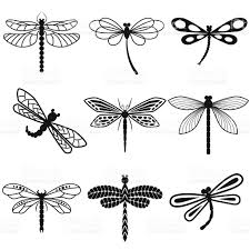 Dragonflies Black Silhouettes On White Background Royalty Free Dragonflies Black Silhouettes On White Background Stok Ve Yusufcuk Dovmesi Silhouettes Yusufcuk