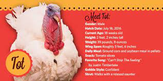 The turkey was sent to live at frying pan park in herndon, virginia. President Obama S Final Turkey Pardon Whitehouse Gov