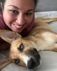 Husky's funny reaction to fart, cute animal video