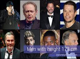 173 cm Male Celebrities - DHM