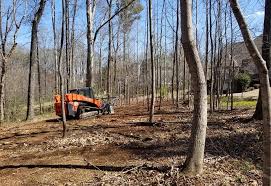 A forestry mulching machine, also referred to as a forestry mulcher, forest masticator, or brushcutter, uses a rotary drum equipped with steel chipper tools (teeth) or blades to shred vegetation. Forestry Mulching Mcabee Tree Care