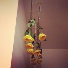 Check spelling or type a new query. Drying Flowers Upside Down How To Create Beautiful Dried Flowers To Enjoy Year Round