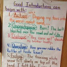 12 detailed writing leads anchor chart