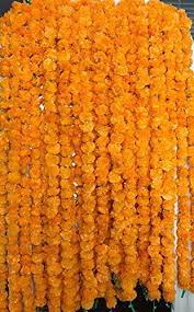 Keressen marigold flowers sale market témájú hd stockfotóink és több millió jogdíjmentes fotó, illusztráció és vektorkép között a shutterstock gyűjteményében. Marigold Homegarden South Africa Buy Marigold Homegarden Online Wantitall