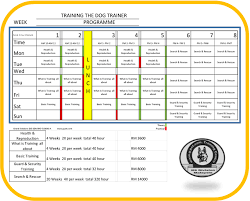 If you are looking for an exciting destination for. G Pet Dog Training And Obedience Kuala Lumpur Petaling Jaya Subang Jaya Malaysia