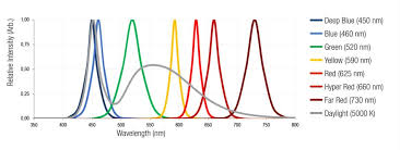 Please help us share this movie links to your friends. Horticulture Leds With Wavelengths For Plant Cultivation Wurth Elektronik Electronic Electromechanical Components Products Services Innovations